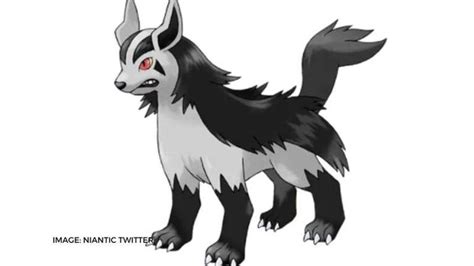 mightyena weakness|mightyena best moveset.